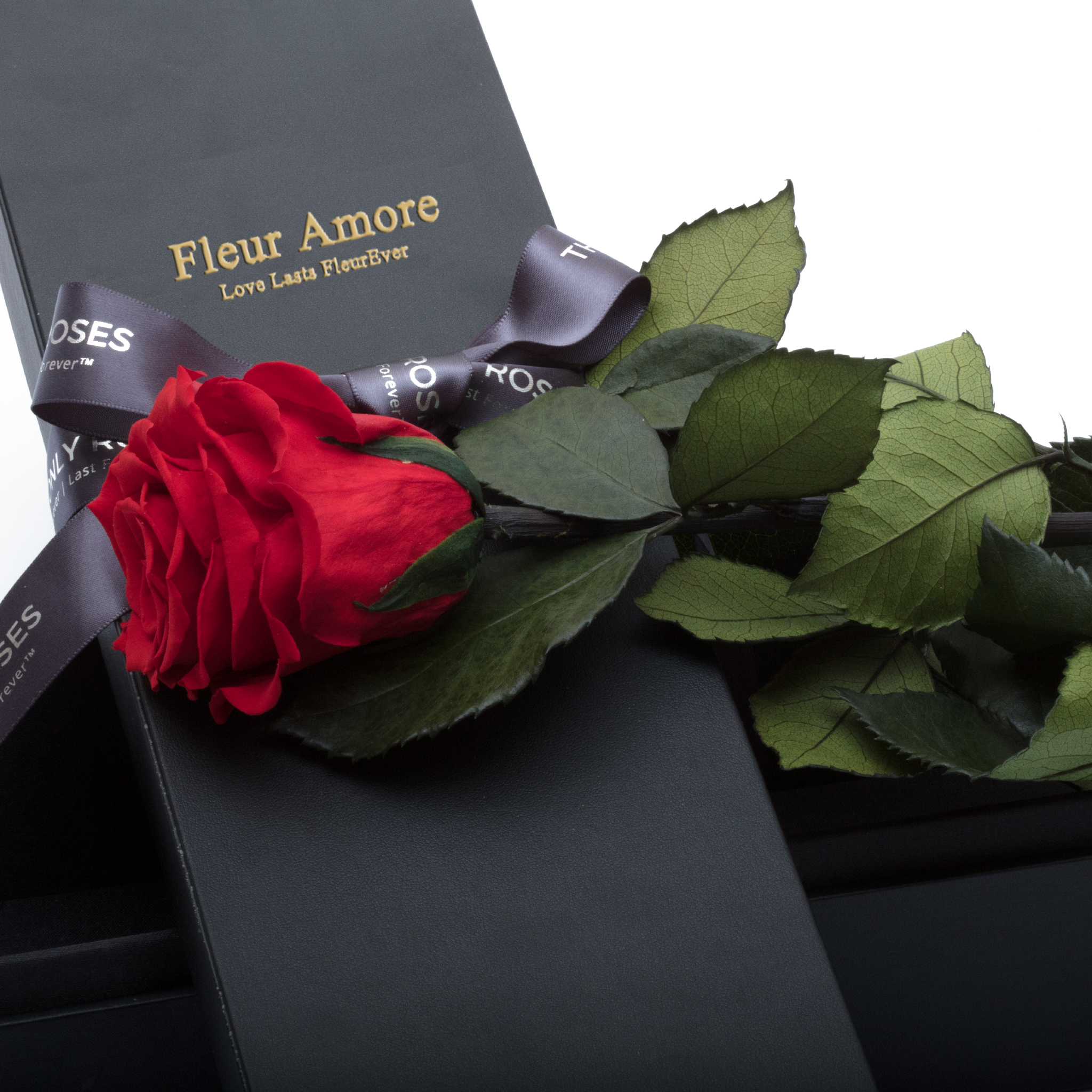 The Only | 1 Red Preserved Long Stem Rose Bouquet